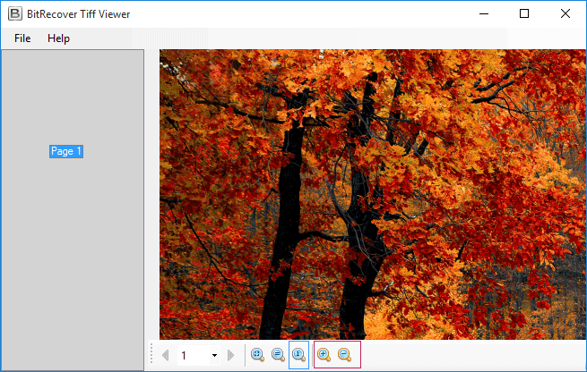 BitRecover TIFF Viewer