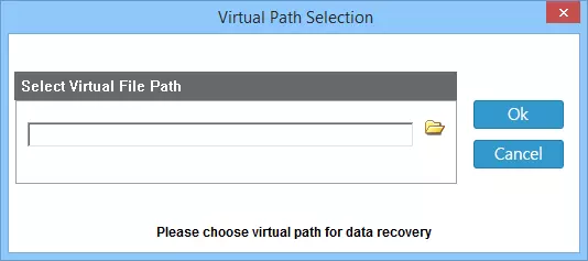 Virtual Disk Recovery Tool