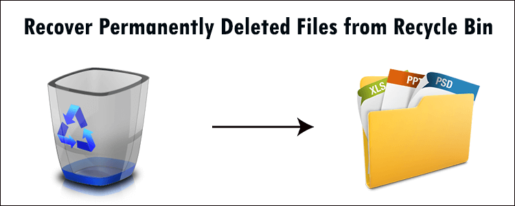 files in a recycle bin files in a recycle bin