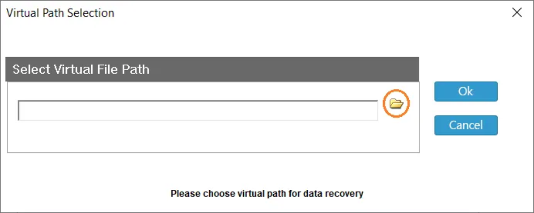 Virtual Drive Recovery